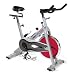 Stamina 9200 CPS Indoor Cycling Bike