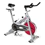 Stamina 9200 CPS Indoor Cycling Bike