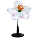 3B Scientific T21016 Apple Flower (Malus Pumila), 16-1/2" Height