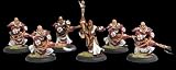 Warmachine Protectorate Flameguard Cleansers Unit Box