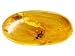 Jewelry : MM VARIES FREE FORM AMBER WITH TROPICAL STINGLESS BEE