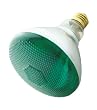 Incandescent Weatherproof 100 Watt Indoor/Outdoor Green Floodlight Bulb