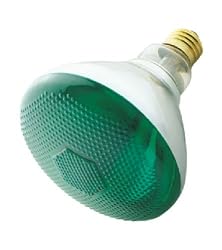 Incandescent Weatherproof 100 Watt Indoor/Outdoor Green Floodlight Bulb