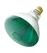 Incandescent Weatherproof 100 Watt Indoor/Outdoor Green Floodlight Bulb