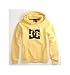 Dc Shoes Mens Star Pullover Multi Hoodie image 3
