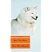 Der Mondhund