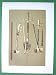 MUSICAL INSTRUMENTS Belonging to King of Siam Thailand Fiddles Flute - SCARCE Color Lithograph Print