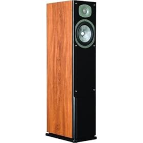 Energy C-300 Floor Standing Speaker (Single, Cherry)