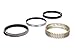 Hastings (2M-5505005) Piston Ring Set