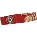 Minnesota Wild FanBand Headband