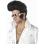 Mens Costume Black Elvis Cool Rock Star Wig Elvis Presley