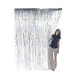 Metallic Silver Foil Fringe Curtains (1 pc) Metallic Silver Foil Fringe Curtains (1 pc)