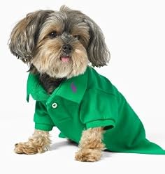 Ralph Lauren Classic Dog Polo Shirts For Your Pup Several Sizes Available