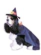 Halloween Pet Costume Dog Costume Witch Pet Lovers