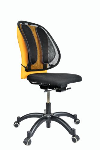 Fellowes Office Suites Mesh Back Support  Tri-Tensioning 