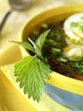 Russian Spring Soup with Nettle - 24