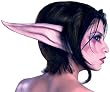 Night Elf World of Warcraft Makeup Kit
