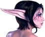 Night Elf World of Warcraft Makeup Kit