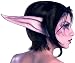 Night Elf World of Warcraft Makeup Kit