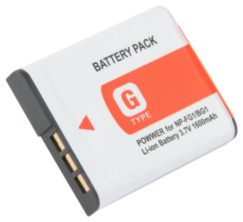 STK Sony NP-BG1 1600mAh Battery Cybershot DSC-HX9V, DSC-H70, DSC-H50, DSC-H55, DSC-H90, DSC-W290, DSC-H20, DSC-W80, DSC-HX5V, DSC-W55 + More Cameras