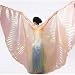 Light Orange Handmade Belly Dance Costume IsIs Wings New with 2 free Sticks