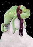 Chilly Chameleon - 60