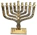 12 Tribes of Israel - Cast Brass Hanukah Menorah