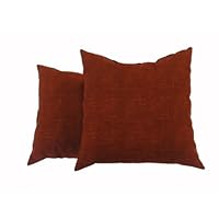 Newport Layton Home Fashions 2-Pack KE20 Indoor/Outdoor Pillows, Grasscloth, Spice