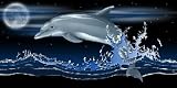 Towel World Dolphin Moon Beach Towel