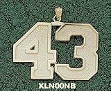 Double Number 1 No Bar Polished Charm/Pendant -14K/10K, Stainless Steel or Gold Plated