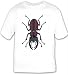 T-shirt with male, beetle, insect, mandibles, hane, invertebrate, ekoxe, animal, jaws...