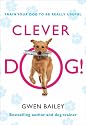 Clever Dog!