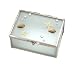Sea Shell Jewelry Keepsake Box in Glass