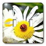 Patricia Sanders Flowers - lucky ladybug on a daisy - Light Switch Covers - double toggle switch
