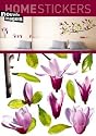 Magnolia Wall Sticker French Temporary Wall Decoration (Les Ephemeres) - repositionable, removable wall art