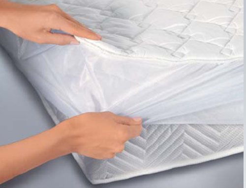 Imagen 11 de Bosch PFB3060