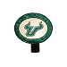 Memory Company South Florida Bulls Art-Glass Nightlight