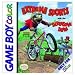 Berenstain Bears: Extreme Sports