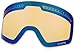 Dragon Alliance NFX Ski Goggles