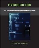 Cybercrime: An Introduction to an Emerging Phenomenon