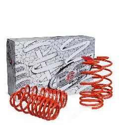 BG Suspension 50.1.041 S2 Springs
