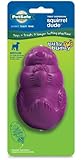 PetSafe Busy Buddy Squirrel Dude Dog Toy, Medium