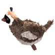 QUAIL - Squawk Flock Squaking Dog Toys
