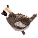 Pet Supplies : QUAIL - Squawk Flock Squaking Dog Toys