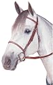 Kincade Raised Padded Fancy Stitched Bridle With Reins