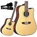 Musical Instruments : D46SCE12 12 String Acoustic Electric Guitar