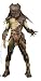 Predators Serie I Masked Falconer Predator (18cm/7") bei amazon kaufen