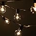 Hometown Evolution, Inc. 100 Foot G40 Globe Patio String Lights with 1.6 Inch Clear Bulbs for Outdoor String Lighting (Green Wire)