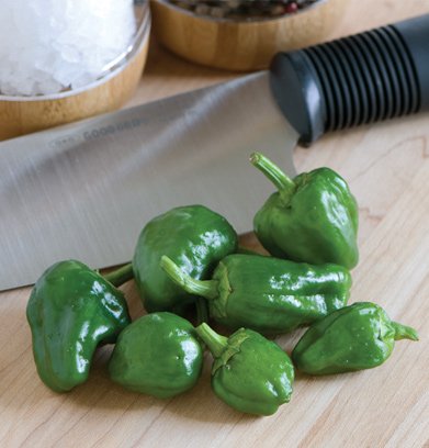 David's Hot Pepper Padron 30 seeds per Packet