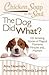 Chicken Soup for the Soul: The Dog Did What?: 101 Amazing Stories of Magical Moments, Miracles and... Mayhem